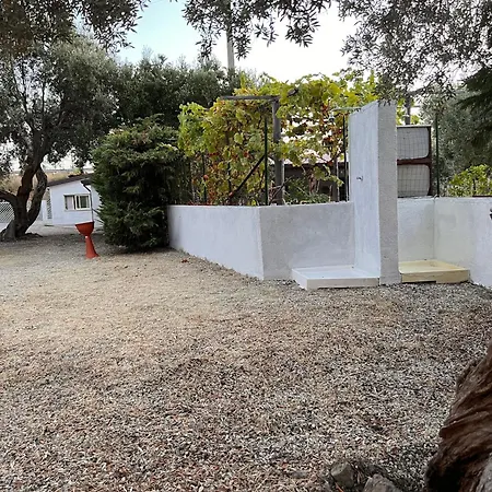 Il Pantheon-afrodite Fuscaldo