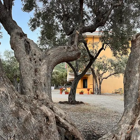 Il Pantheon-afrodite Apartament *